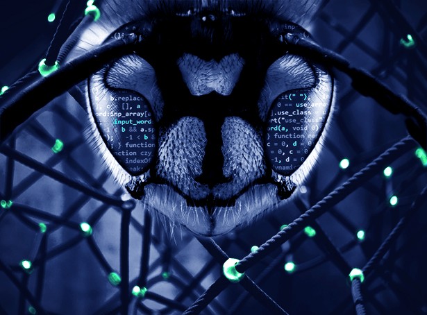security compliance verification