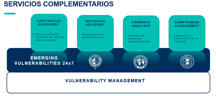 servicios complementarios vulnerabilidades emergentes