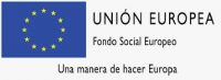 Logo FSE para web