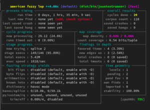 El fuzzing permite comprobar la seguridad de una aplicación sin necesidad de conocer su código