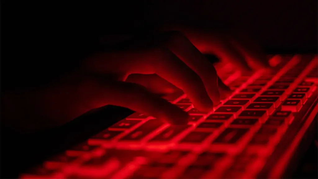 The use of infostealers on Black Friday and Christmas must be combated to prevent significant financial losses